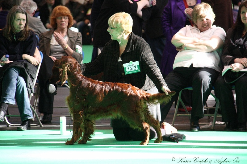 Crufts2011 751.jpg